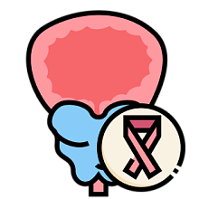 Рак предстательной железы